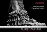Cartel de la muestra Sentir flamenco del Museo Arqueolgico