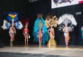 Quema de Don Carnal y entrega de premios del Carnaval 2015