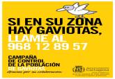 Campaa de control de gaviotas
