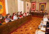 Pleno ordinario municipal
