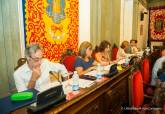 Pleno ordinario municipal