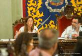 Pleno ordinario municipal