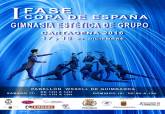 Cartel Copa de Espa�a Gimnasia Est�tica de Grupo